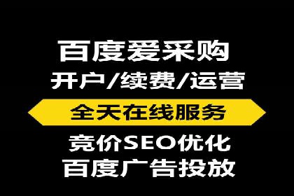 实战解析：SEM网络推广成功案例分享